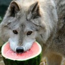 สมาชิกหมายเลข 785620