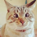 สมาชิกหมายเลข 1184515