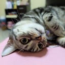 สายเปย์ในทุ่งลาเวนเดอร์