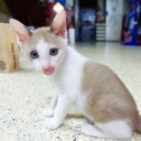 สมาชิกหมายเลข 795572