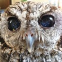 สมาชิกหมายเลข 2816936