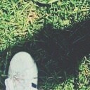 สมาชิกหมายเลข 2817290