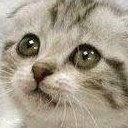 สมาชิกหมายเลข 786324