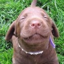 สมาชิกหมายเลข 2817415