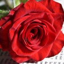 สมาชิกหมายเลข 786919