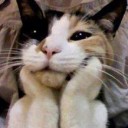 สมาชิกหมายเลข 1185758