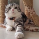 สมาชิกหมายเลข 2027989