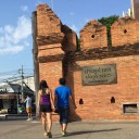 เห็ดขี้เซา