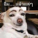 สมาชิกหมายเลข 2416911