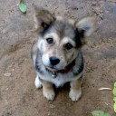 สมาชิกหมายเลข 2553037