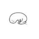 สมาชิกหมายเลข 2817907