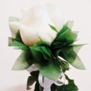 เดือนเด่นกว่า