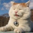 สมาชิกหมายเลข 787113