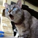 สมาชิกหมายเลข 2028824