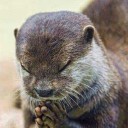 สมาชิกหมายเลข 2801707