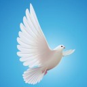 สมาชิกหมายเลข 3248442