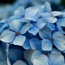 สมาชิกหมายเลข 787644