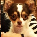 สมาชิกหมายเลข 1600077