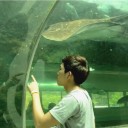 สมาชิกหมายเลข 2398581