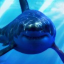 สมาชิกหมายเลข 2840648