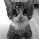 สมาชิกหมายเลข 1600689