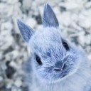 สมาชิกหมายเลข 1134972