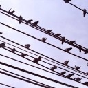 สมาชิกหมายเลข 2819574