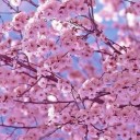 สมาชิกหมายเลข 708388