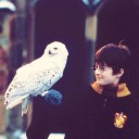 สมาชิกหมายเลข 2420115