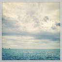 สมาชิกหมายเลข 785852