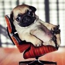 สมาชิกหมายเลข 789012