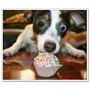 สมาชิกหมายเลข 2030444