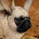 สมาชิกหมายเลข 2420196