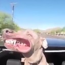 สมาชิกหมายเลข 1232961