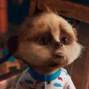 สมาชิกหมายเลข 2711012