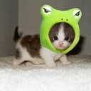 สมาชิกหมายเลข 2820050