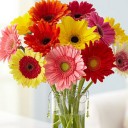 สมาชิกหมายเลข 700005