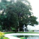 สมาชิกหมายเลข 2820541