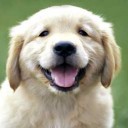 สมาชิกหมายเลข 789492