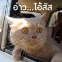 สมาชิกหมายเลข 2025994