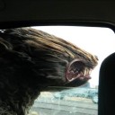 สมาชิกหมายเลข 2404089