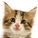 สมาชิกหมายเลข 789259