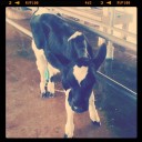 สมาชิกหมายเลข 789920