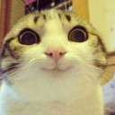 สมาชิกหมายเลข 1572774