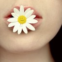 สมาชิกหมายเลข 2031775