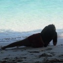 สมาชิกหมายเลข 710053