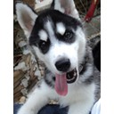 สมาชิกหมายเลข 790315