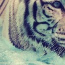 สมาชิกหมายเลข 790384