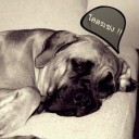 สมาชิกหมายเลข 790430