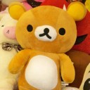 สมาชิกหมายเลข 1603802